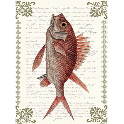 Tile | Redfish