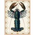 Tile | Lobster