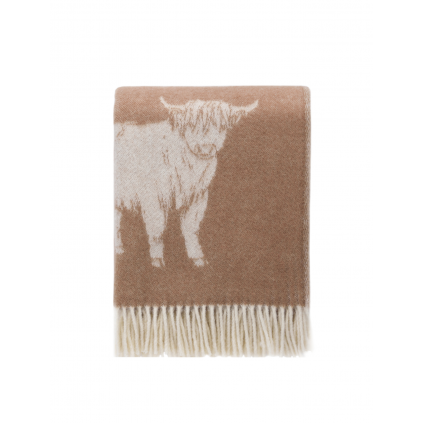 Highland Cow | Brown